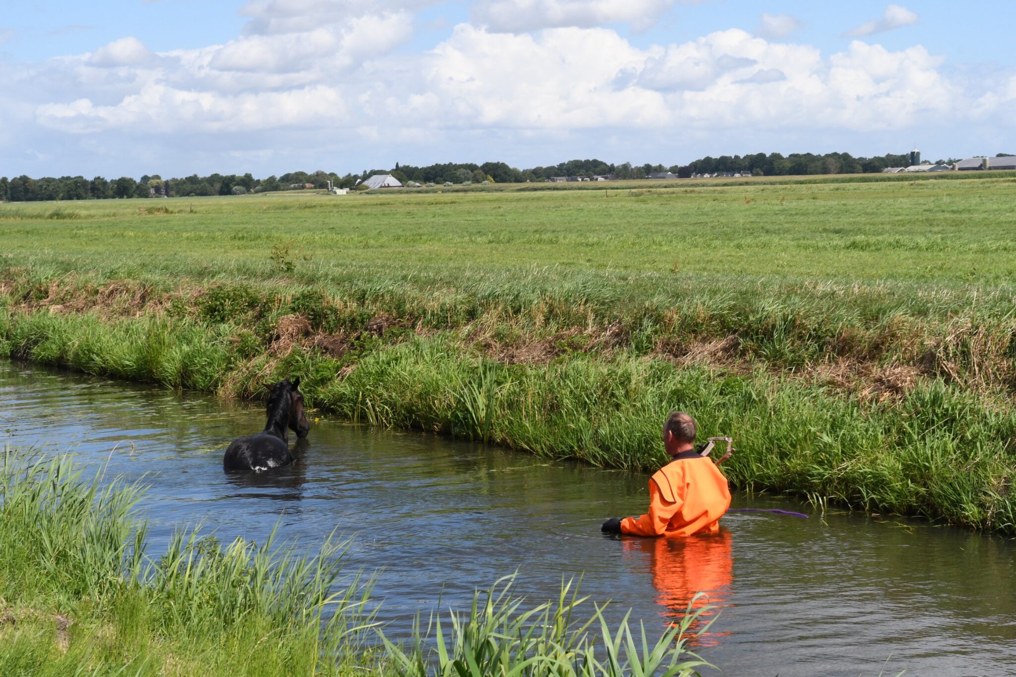 Paard na reddingsactie uit sloot gehaald in Tolbert