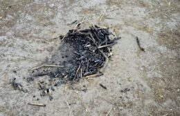 Brandstichting in Slipsterbosje