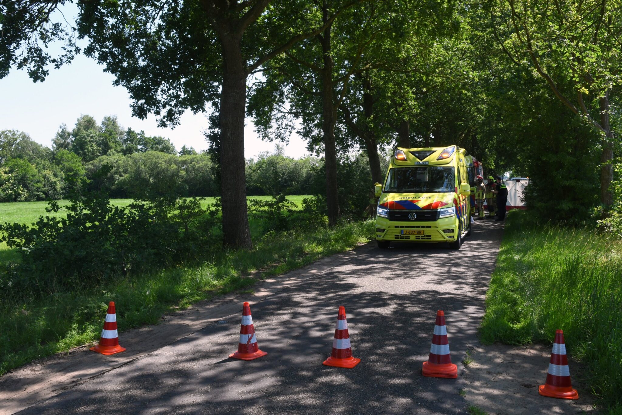 Bestuurder bekneld na botsing met boom in Ureterp