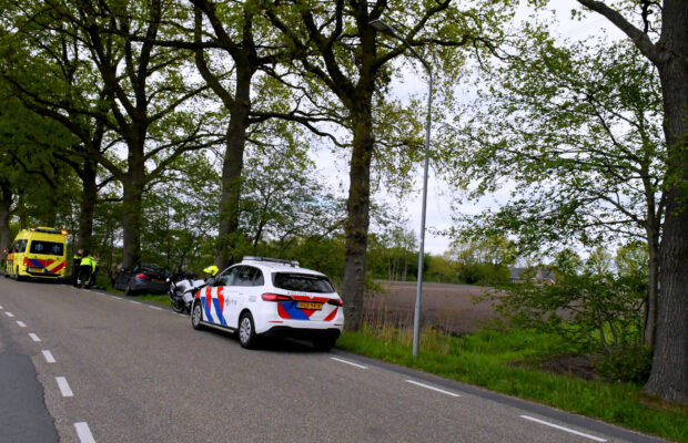 BMW botst tegen boom op Hooiweg in Lucaswolde