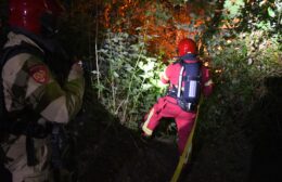 Kleine vrachtwagen brandt uit in bosperceel bij Niebert