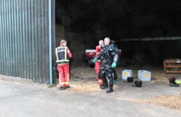 Koe belandt in mestput bij boerderij in Doezum