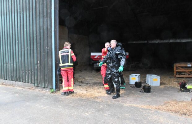 Koe belandt in mestput bij boerderij in Doezum