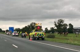 Bedrijfsauto uit koers op A7