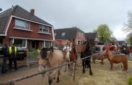 Moarumermarkt regenachtig, maar toch gezellig!