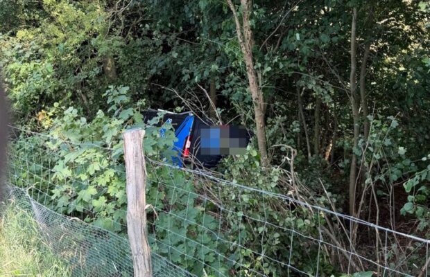 Auto in de bosjes op A7 bij Marum