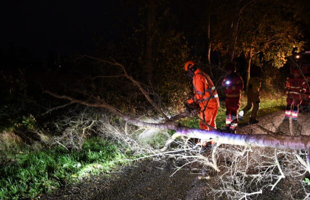 Brandweer Marum zaagt omgewaaide berkenboom in Nuis in stukken