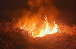Natuurbrand tussen Ronervaart en Cnossen snel geblust