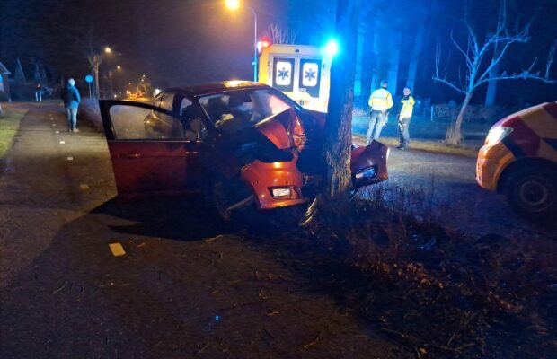 Auto botst tegen boom in Niebert