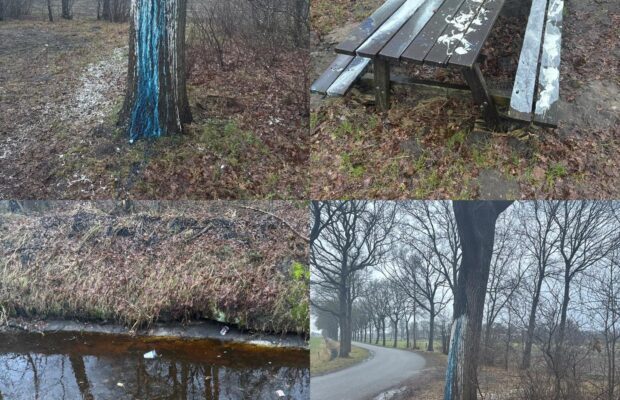 Vernielingen aan Grouwweg in Niebert