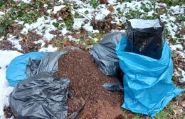 Restanten hennepkwekerij gedumpt op Trimunt
