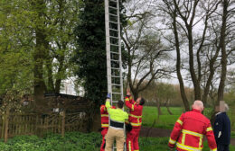 Brandweer bevrijdt kat in Niebert