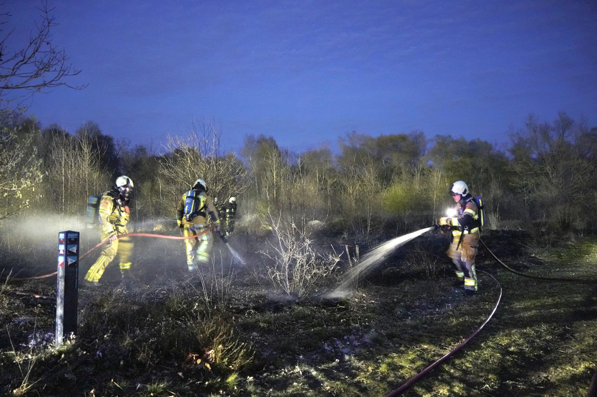 Brandweer rukt massaal uit voor bosbrand in Oosterwolde