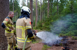 Brandweer blust brand in natuurgebied Fochteloërveen Video