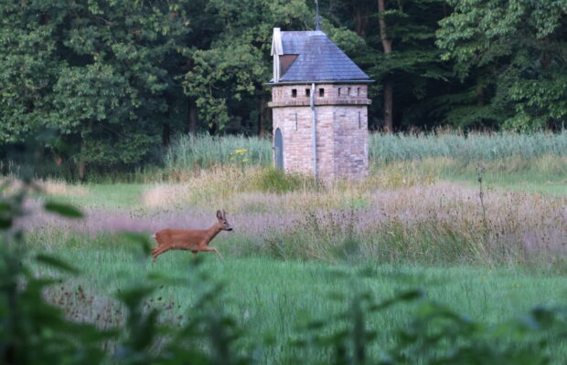 Zorgen over natuur- én recreatiewaarden in Natuurschoonbos