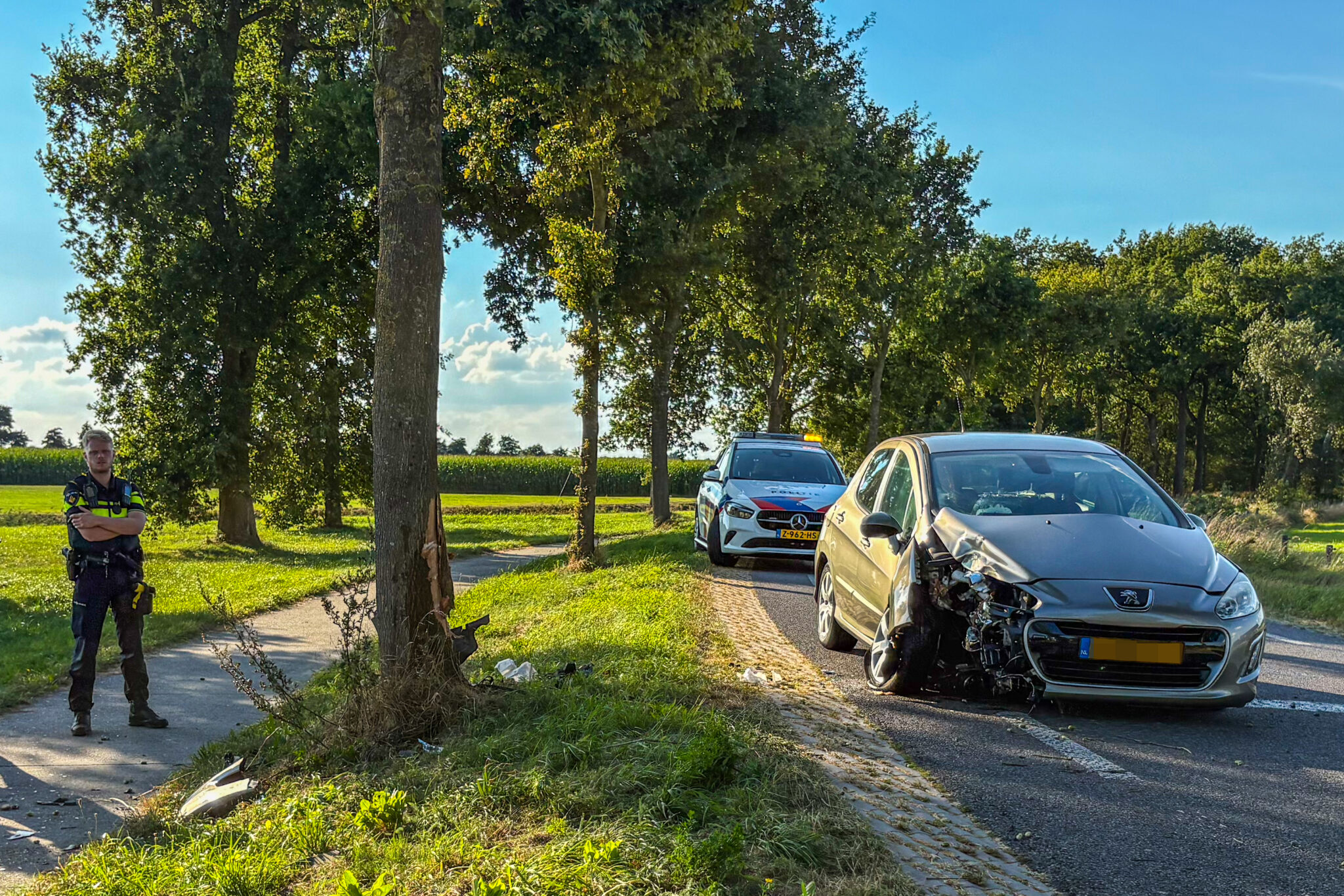 Forse schade bij ongeval in Frieschepalen