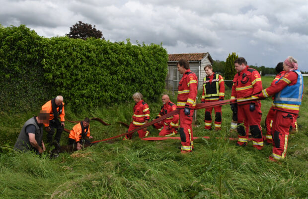Brandweer bevrijdt 29-jarige merrie uit sloot in Nuis