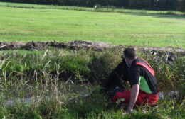 Paard gered uit sloot langs Mensumaweg in Tolbert