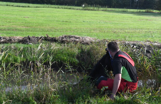 Paard gered uit sloot langs Mensumaweg in Tolbert
