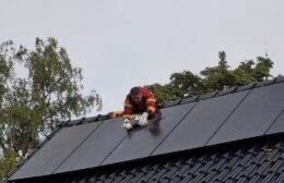 Brandweer bevrijdt meeuw in Noordhorn
