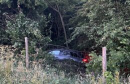 Auto belandt in bossages langs A7 bij Marum: bestuurder naar ziekenhuis gebracht