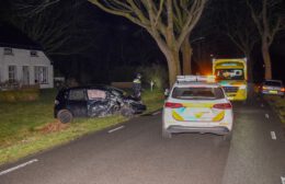 Auto rijdt tegen boom op Zevenhuisterweg