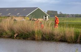 Ree springt zelf uit water, brandweer Zuidhorn keert onverrichter zake terug
