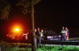Botsing met ree op A7 bij Leek: auto zwaar beschadigd