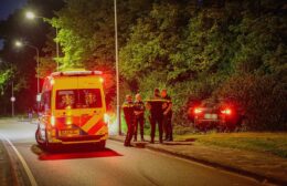 Auto belandt in bosschage na aanrijding met lantaarnpaal in Leek