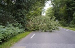 Verkeer tijdelijk stilgelegd door omgevallen boom in Norg Video