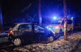 Auto botst tegen boom op J.P. Santeeweg