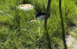 Rookalarm in Leek blijkt loos: pannetje op vuur veroorzaakt inzet hulpdiensten