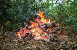 Buitenbrand in bos bij Nienoord