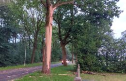 Bliksem slaat in boom in Nieuw-Roden