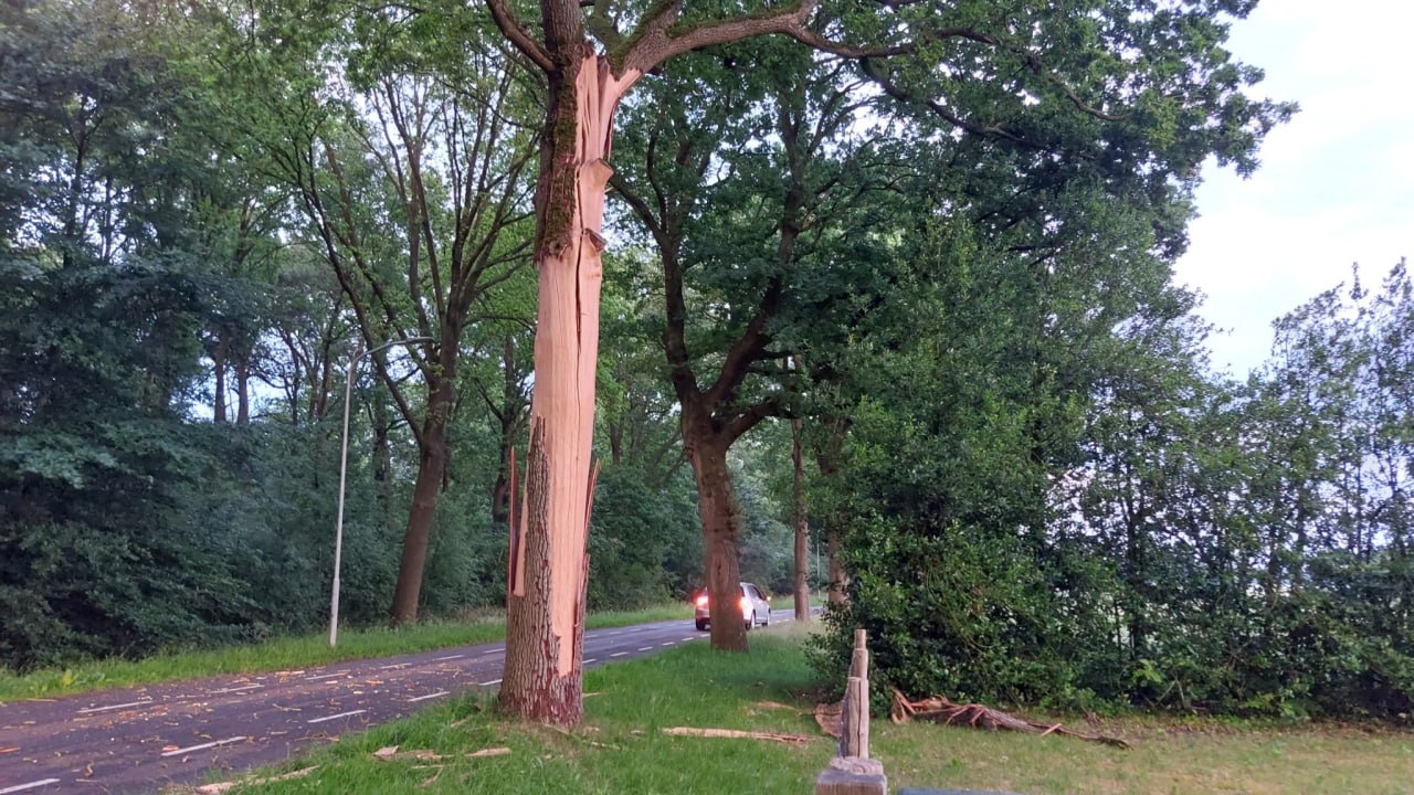 Bliksem slaat in boom in Nieuw-Roden