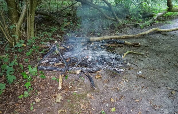 Brandweer blust buitenbrand op landgoed Nienoord
