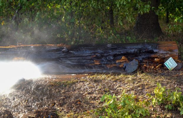 Brand in bosgebied bij Norg Video