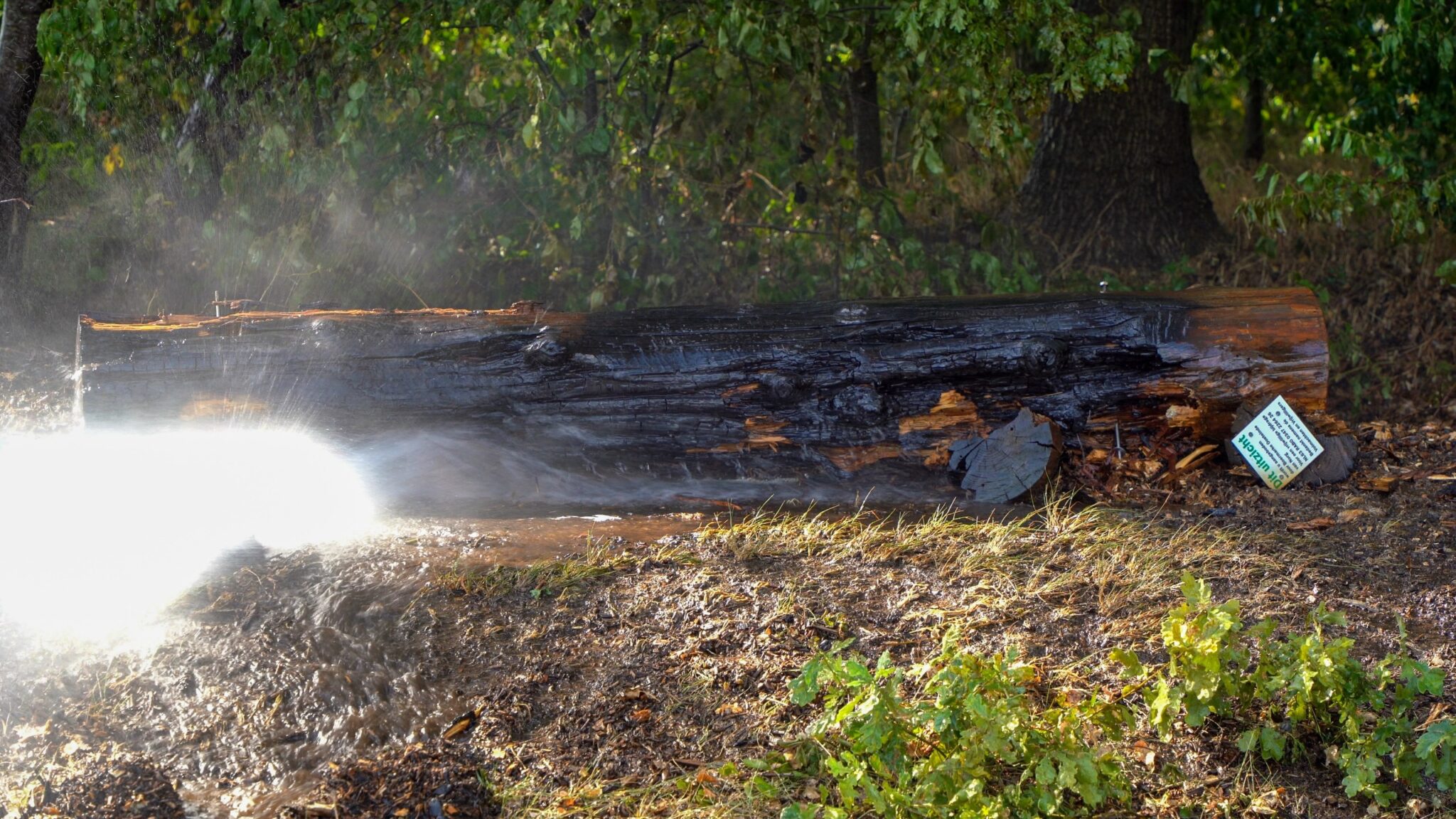 Brand in bosgebied bij Norg