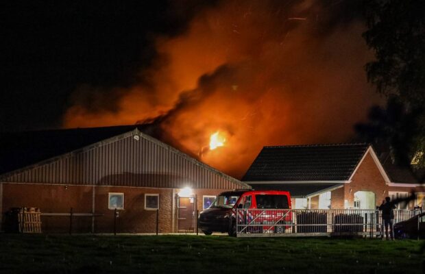 Grote brand in loods bij kippenboer in Een-West