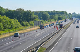 Slachtafval op A7 veroorzaakt verkeerschaos bij Frieschepalen