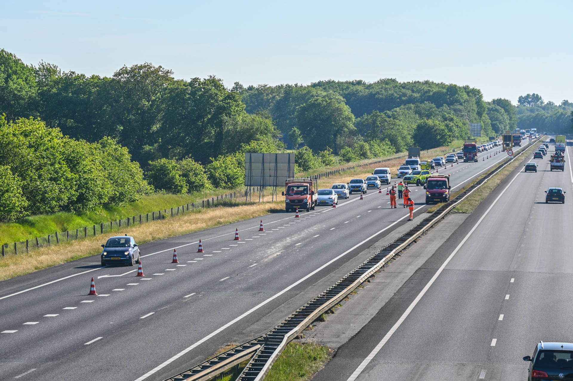 Slachtafval op A7 veroorzaakt verkeerschaos bij Frieschepalen