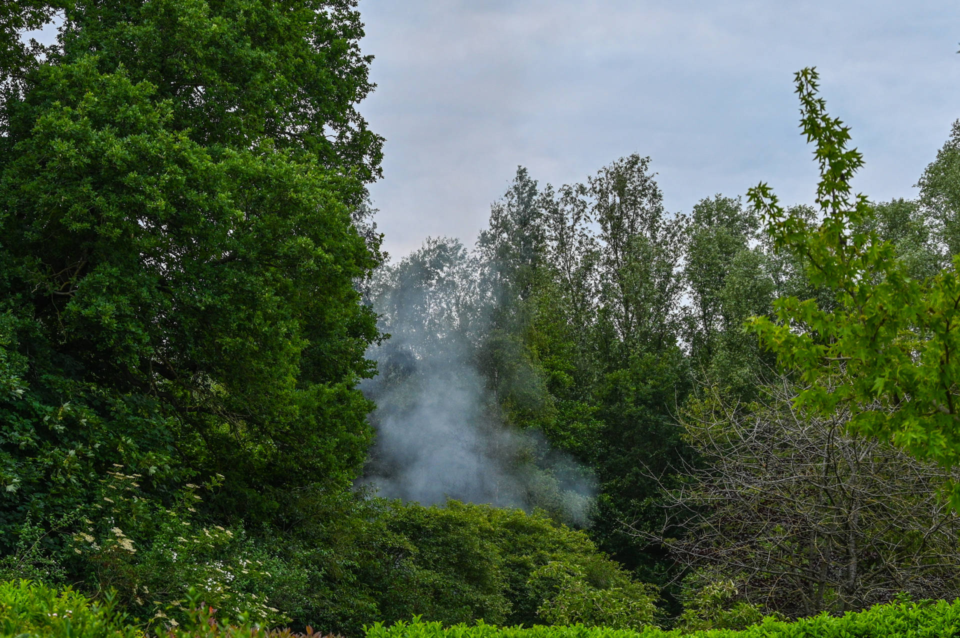 Jeugdhangplek in brand in bos